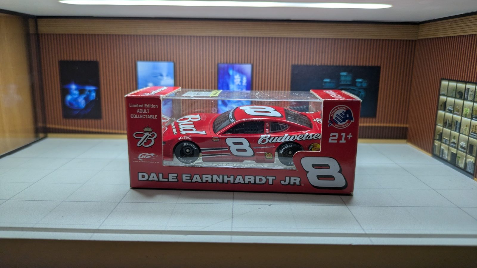 Dale Earnhardt JR